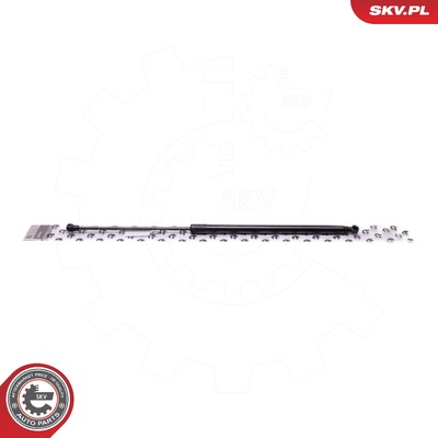 FORD FIESTA VII GAS SPRING, TAILGATE | OEM 2087420