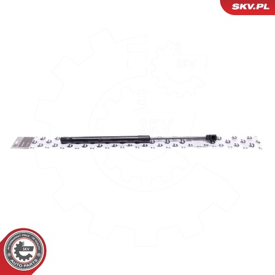 BMW X5 X6 GAS SPRING, TAILGATE | OEM 51237148346