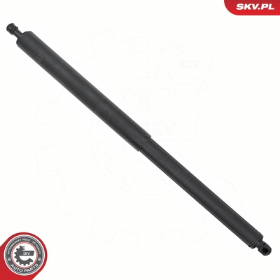 FORD USA EDGE GAS SPRING, TAILGATE | OEM FT4Z58406A10B