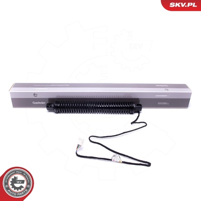 BMW 5 SERIES F10 GAS SPRING, TAILGATE | OEM 51247207010