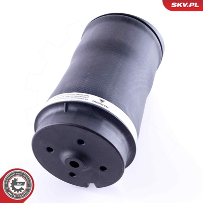 MERCEDES-BENZ R-CLASS W251, V251 AIR SUSPENSION SPRING BAG | OEM A2513200425
