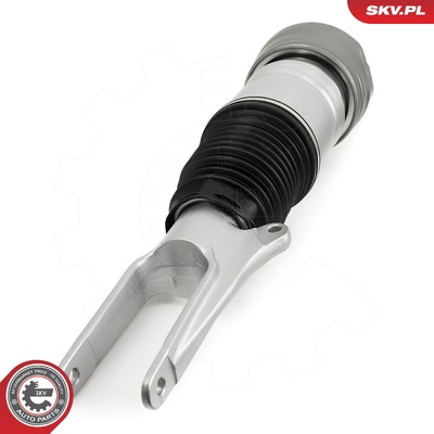 PORSCHE PANAMERA AIR SPRING STRUT | OEM 97034305234