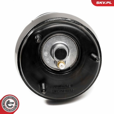 MERCEDES-BENZ GLE GLS KLASA GL KLASA M AIR SPRING STRUT | OEM A1663201313