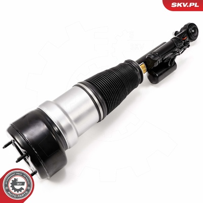 MERCEDES-BENZ KLASA S KLASA S AIR SPRING STRUT | OEM A2213200538