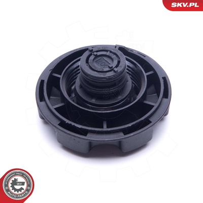 BMW 3 SERIES 4 5 6 7 X5 X6 CAP, COOLANT TANK | OEM 17137516004