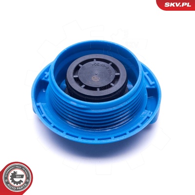 VW CADDY II CORRADO GOLF II III JETTA II PASSAT POLO CAP, COOLANT TANK | OEM 1H0121321