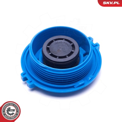 VW CADDY TRANSPORTER AUDI A1 A3 A4 B7 B8 A5 A6 C7 CAP, COOLANT TANK | OEM 3B0121321