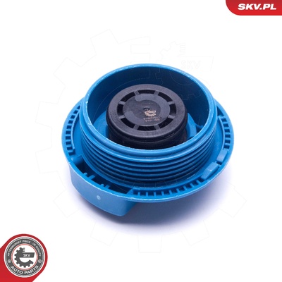 VW BORA GOLF PASSAT B5 POLO AUDI A2 A4 B5 B6 A6 C4 C5 CAP, COOLANT TANK | OEM 1J0121321