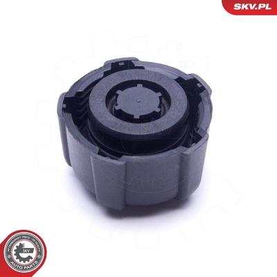 DACIA DOKKER DUSTER LOGAN SANDERO RENAULT CAPTUR CLIO CAP, COOLANT TANK | OEM 7700805131