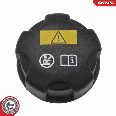 BMW 1 SERIES 2 3 4 5 6 7 X1 X2 X3 X4 X5 X6 CAP, COOLANT TANK | OEM 17132754264