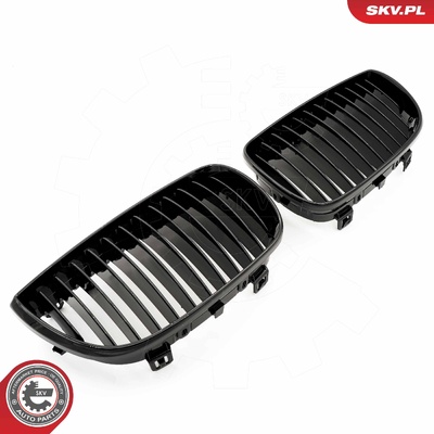 BMW 1 SERIES E81/E87 RADIATOR GRILLE | OEM 51710441921
