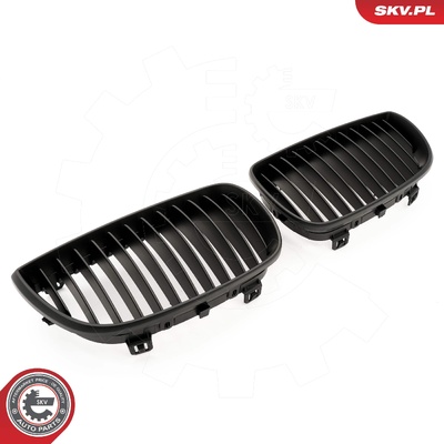 BMW 1 SERIES E81/E87 RADIATOR GRILLE | OEM 51710441921
