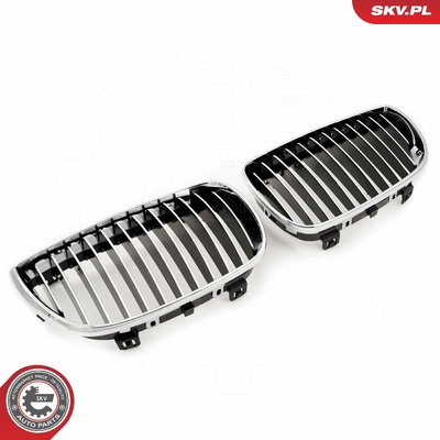 BMW 1 SERIES E81/E87 RADIATOR GRILLE | OEM 51710441921