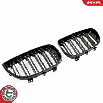 BMW 1 SERIES E81/E87 RADIATOR GRILLE | OEM 51710441921