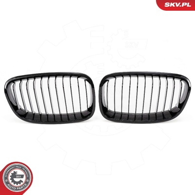 BMW 1 SERIES F20 RADIATOR GRILLE | OEM 51137262117