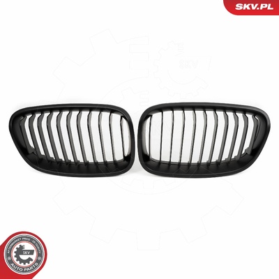 BMW 1 SERIES F20 RADIATOR GRILLE | OEM 51137262117