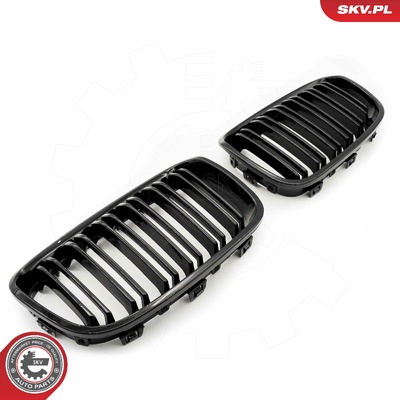 BMW 1 SERIES F20 RADIATOR GRILLE | OEM 51137262117