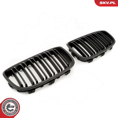 BMW 1 SERIES F20 RADIATOR GRILLE | OEM 51137262117
