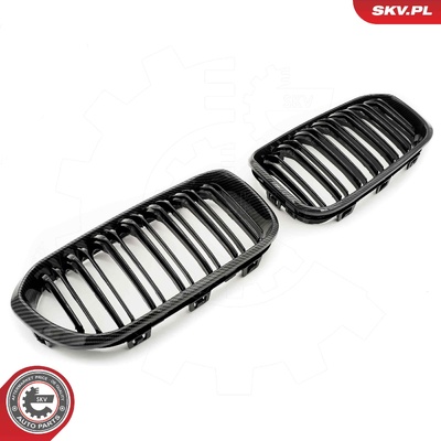 BMW 1 SERIES F20 RADIATOR GRILLE | OEM 51137262117