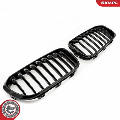 BMW 1 SERIES F20 FACELIFT RADIATOR GRILLE | OEM 51712357461