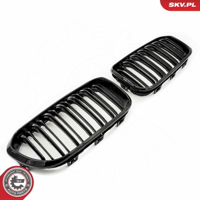 BMW 1 SERIES F20 FACELIFT RADIATOR GRILLE | OEM 51712357461