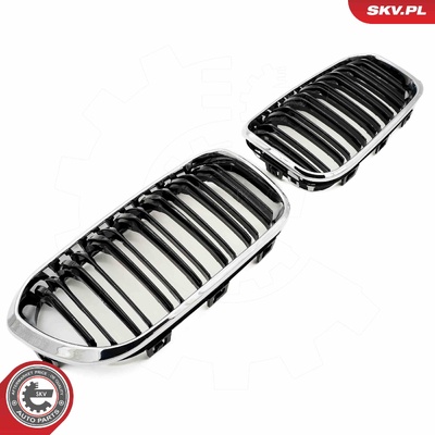BMW 1 SERIES F20 FACELIFT RADIATOR GRILLE | OEM 51712357461