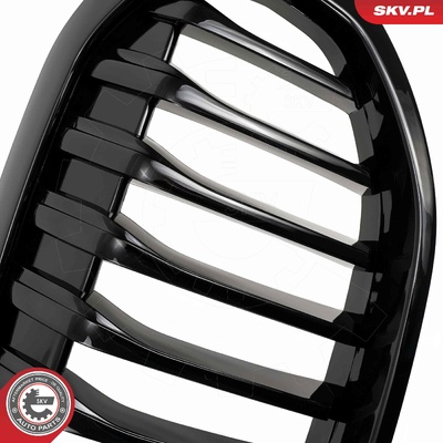 BMW 1 SERIES F40 RADIATOR GRILLE | OEM 51137450957