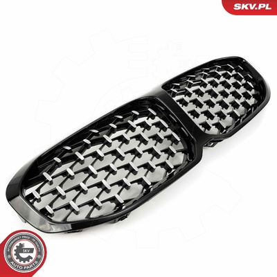 BMW 1 SERIES F40 RADIATOR GRILLE | OEM 51137450957
