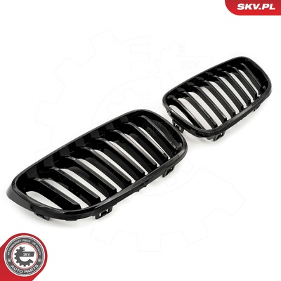 BMW 2 SERIES F22 RADIATOR GRILLE | OEM 51137295521