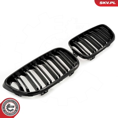 BMW 2 SERIES F22 RADIATOR GRILLE | OEM 51137295521
