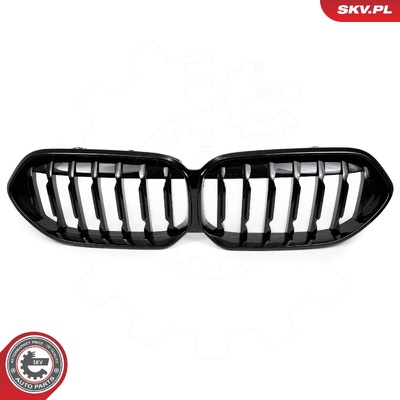 BMW 2 SERIES F44 RADIATOR GRILLE | OEM 51135A39376