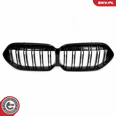 BMW 2 SERIES F44 RADIATOR GRILLE | OEM 51135A39376