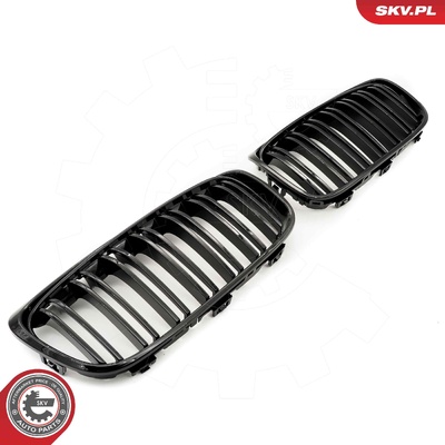 BMW 2 SERIES F45 RADIATOR GRILLE | OEM 51137467461