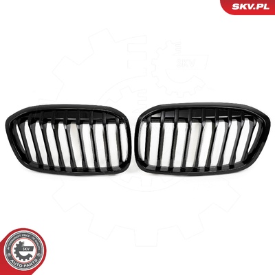 BMW 2 SERIES F46 RADIATOR GRILLE | OEM 51137467457