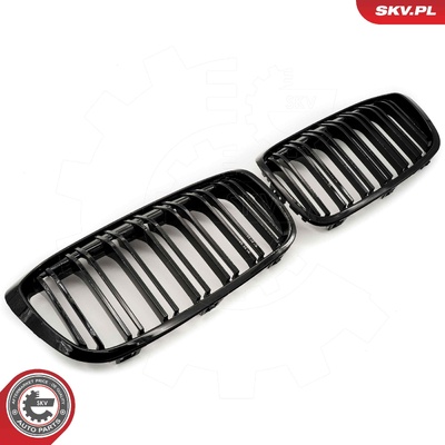 BMW 2 SERIES F46 RADIATOR GRILLE | OEM 51137467457