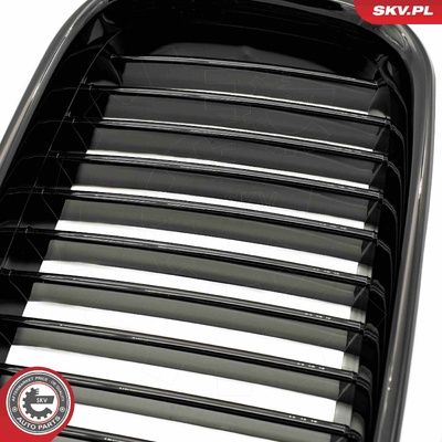 BMW 3 SERIES E36 RADIATOR GRILLE | OEM 51138122237