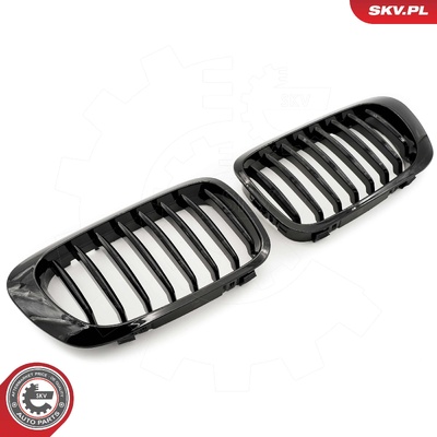 BMW 3 SERIES E46 COUPE RADIATOR GRILLE | OEM 51138208683
