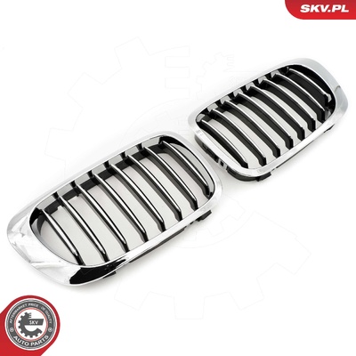 BMW 3 SERIES E46 COUPE RADIATOR GRILLE | OEM 51138208683