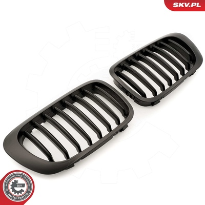 BMW 3 SERIES E46 COUPE RADIATOR GRILLE | OEM 51138208683