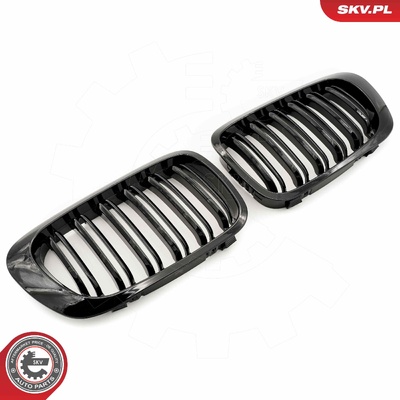 BMW 3 SERIES E46 COUPE RADIATOR GRILLE | OEM 51138208683