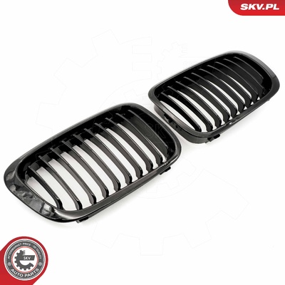BMW 3 SERIES E46 RADIATOR GRILLE | OEM 51138208490