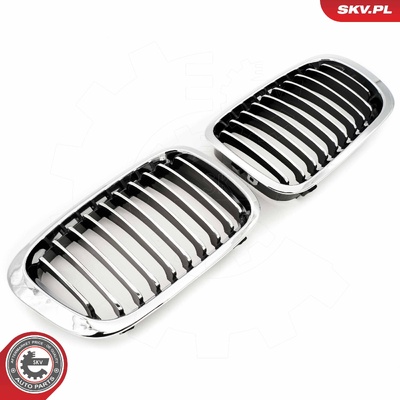 BMW 3 SERIES E46 RADIATOR GRILLE | OEM 51138208490