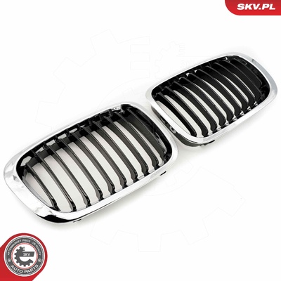 BMW 3 SERIES E46 RADIATOR GRILLE | OEM 51138208490