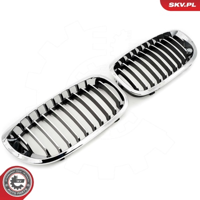 BMW 3 SERIES E46 FACELIFT COUPE RADIATOR GRILLE | OEM 51137064317