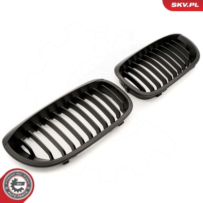 BMW 3 SERIES E46 FACELIFT COUPE RADIATOR GRILLE | OEM 51137064317