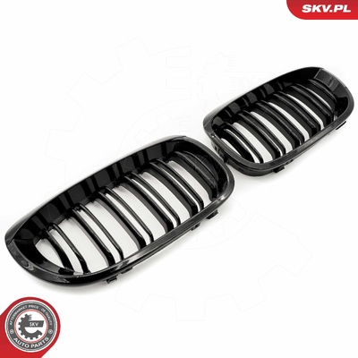 BMW 3 SERIES E46 FACELIFT COUPE RADIATOR GRILLE | OEM 51137064317