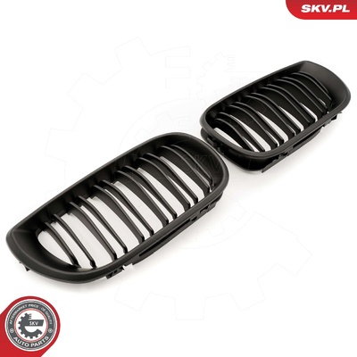 BMW 3 SERIES E46 FACELIFT RADIATOR GRILLE | OEM 51137030545