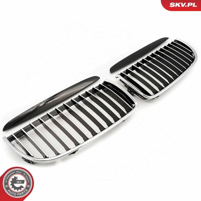 BMW 3 SERIES E90 RADIATOR GRILLE | OEM 51712151895