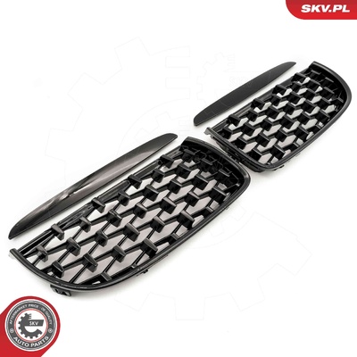 BMW 3 SERIES E90 RADIATOR GRILLE | OEM 51712151895