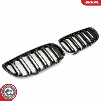 BMW 3 SERIES E92 COUPE RADIATOR GRILLE | OEM 51712155451